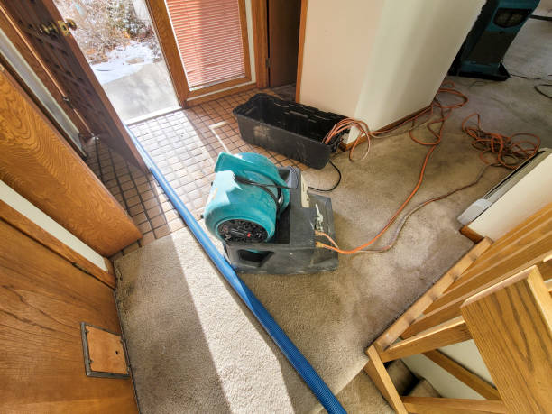 Best Emergency water extraction  in Robins, IA