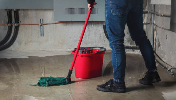 Best Sewage cleanup and water damage restoration  in Robins, IA