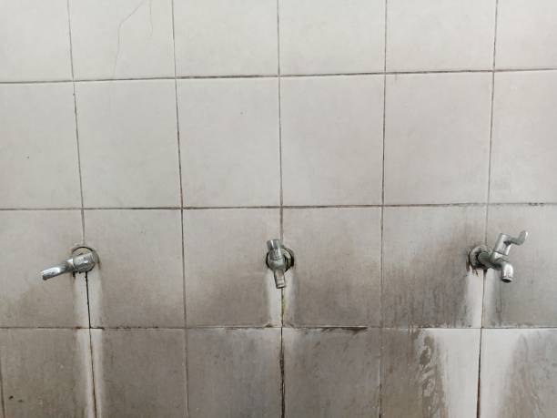 Best Water damage contractors near me  in Robins, IA