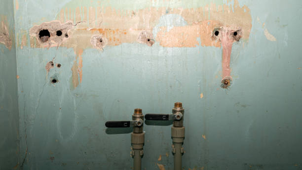 Best Fire Damage Restoration  in Robins, IA