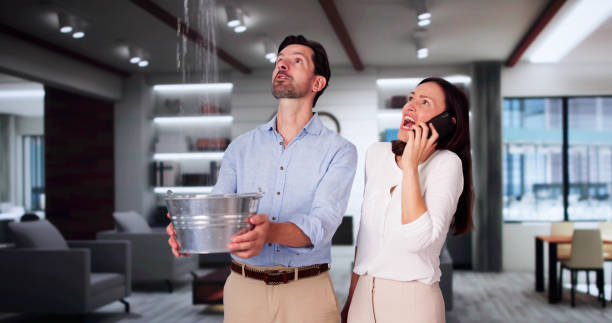 Best Water damage restoration mold remediation  in Robins, IA